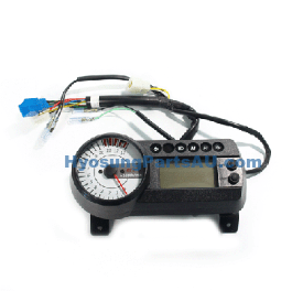 GENUINE EFI SPEEDOMETER GT250 GT250R GT250 GT250R